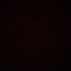 Meet your Posher, Isabella